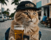 a cat wearing a black meow hat holds a glass of beer