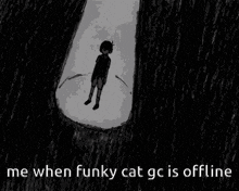 Wingullclippycaroline Funky Cat Gc GIF - Wingullclippycaroline Funky Cat Gc Omori GIFs