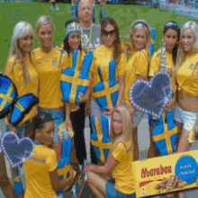Swedencore Sverigecore GIF - Swedencore Sverigecore Sverige GIFs