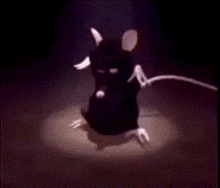 Dancing Rat 6ix9ine Rat GIF - Dancing Rat 6ix9ine Rat Hidden Rain GIFs