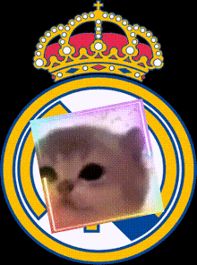 a picture of a cat in a circle with a crown in the background