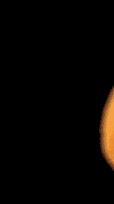 a close up of an orange colored object on a black background .