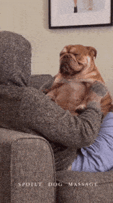 Spoilt Dog GIF - Spoilt Dog Massage GIFs