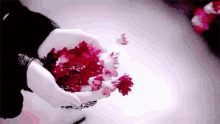Flowers Love You GIF - Flowers Love You Pink Flowers GIFs