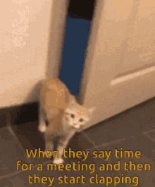 When They Say Time For A Meeting They Start Clapping GIF - When They Say Time For A Meeting They Start Clapping Cat GIFs