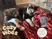 a cat laying on a couch with the words cozy vibes written above it