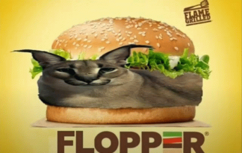 Floppa Flopper GIF - Floppa Flopper Flopper Burger - Discover & Share GIFs