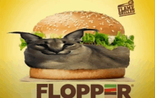 Floppa Flopper GIF - Floppa Flopper Flopper Burger GIFs