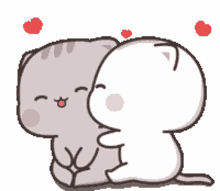 kissing kittens
