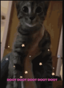 Smol Cat GIF - Smol Cat Dance GIFs