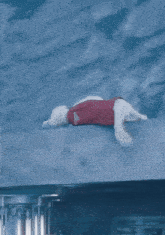 a white dog with a red cape on its back
