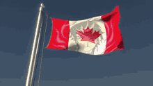Shu Yamino Canadian Shu Canadian GIF - Shu Yamino Canadian Shu Canadian Flag Of Canada GIFs