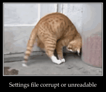 Cat Settings File Corrupt Or Unreadable GIF - Cat Settings File Corrupt Or Unreadable GIFs