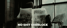 Sherlock Holmes Sherlock GIF - Sherlock Holmes Sherlock No Shit GIFs