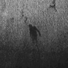 a black and white photo of a shadow of a person walking in the grass .