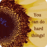 Encouragement You Can Do It GIF - Encouragement You Can Do It GIFs