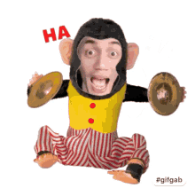 Haha Monyet GIF - Haha Monyet Ketawa GIFs