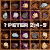 a display of rocks with the words " 1 peter 2 : 4-5 "