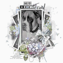 a black and white photo of a dog with the words best friend gina written on it