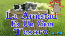 La Amistad Es Un Gran Tesoro Friendship Is A Great Treasure GIF - La Amistad Es Un Gran Tesoro Friendship Is A Great Treasure Cats GIFs