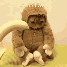 Amstud American Studies GIF - Amstud American Studies Monkey Cry GIFs