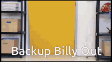 Backup Billy Walk The Prank GIF - Backup Billy Walk The Prank The Mongoose GIFs