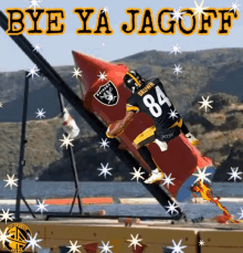 Pittsburgh Steelers Jagoff GIF - Pittsburgh Steelers Jagoff Dick GIFs