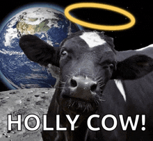 Holy Cow Holy Cow Meme GIF - Holy Cow Holy Cow Meme Outta This World GIFs