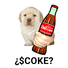 a person holding a bottle of boz cola next to a puppy