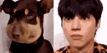 Ateez Wooyoung GIF - Ateez Wooyoung Dog Bit By Snake GIFs