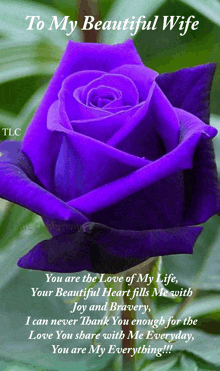 a purple rose with the words to my beautiful wife written on it