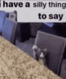 I Have A Silly Thing To Say Cat GIF - I Have A Silly Thing To Say Silly Thing Cat GIFs