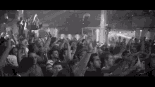Neil Prydz Crowd GIF