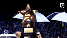 raise trophy liga profesional de f%C3%BAtbol de la afa champion winner award