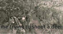 Deer Hunting GIF
