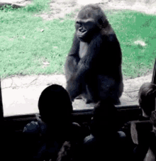 Annoyed Ape GIF - Angry Kids Mean GIFs
