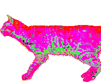 Cat Glitch Sticker - Cat Glitch Distorted Stickers