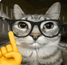 a cat wearing glasses is pointing up with a yellow finger