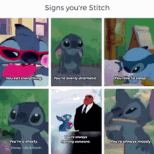stitch relatable funny signs youre stitch you eat everything
