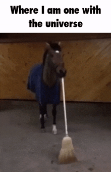 a horse with a broom sticking out of it 's mouth says " where i am one with the universe "