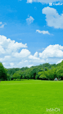 a green field with trees in the background and a blue sky above it