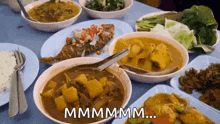 a table topped with plates of food and bowls of soup with a caption that says mmmmm .