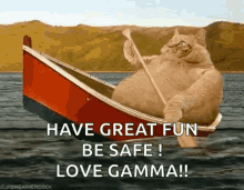Boating Canoeing GIF - Boating Canoeing Cat GIFs