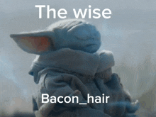 Bacon Hair GIF - Bacon Hair GIFs