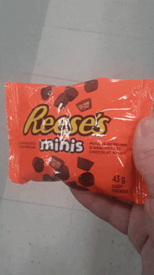 Reeses Minis Candy GIF