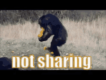 Not Sharing GIF - Not Sharing Dont Share No Sharing GIFs