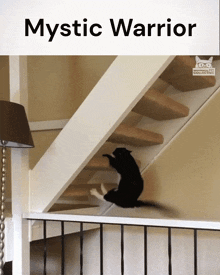 Mystic Warrior Mysticwarrior GIF - Mystic Warrior Mysticwarrior Cat GIFs