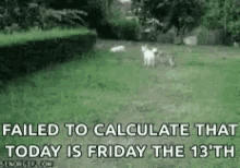 Friday The13th Bad Luck GIF - Friday The13th Bad Luck Unlucky GIFs