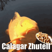 Calagar Calagarzhutell GIF - Calagar Calagarzhutell Apaco GIFs