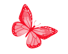 butterfly red butterfly freedom pretty nature